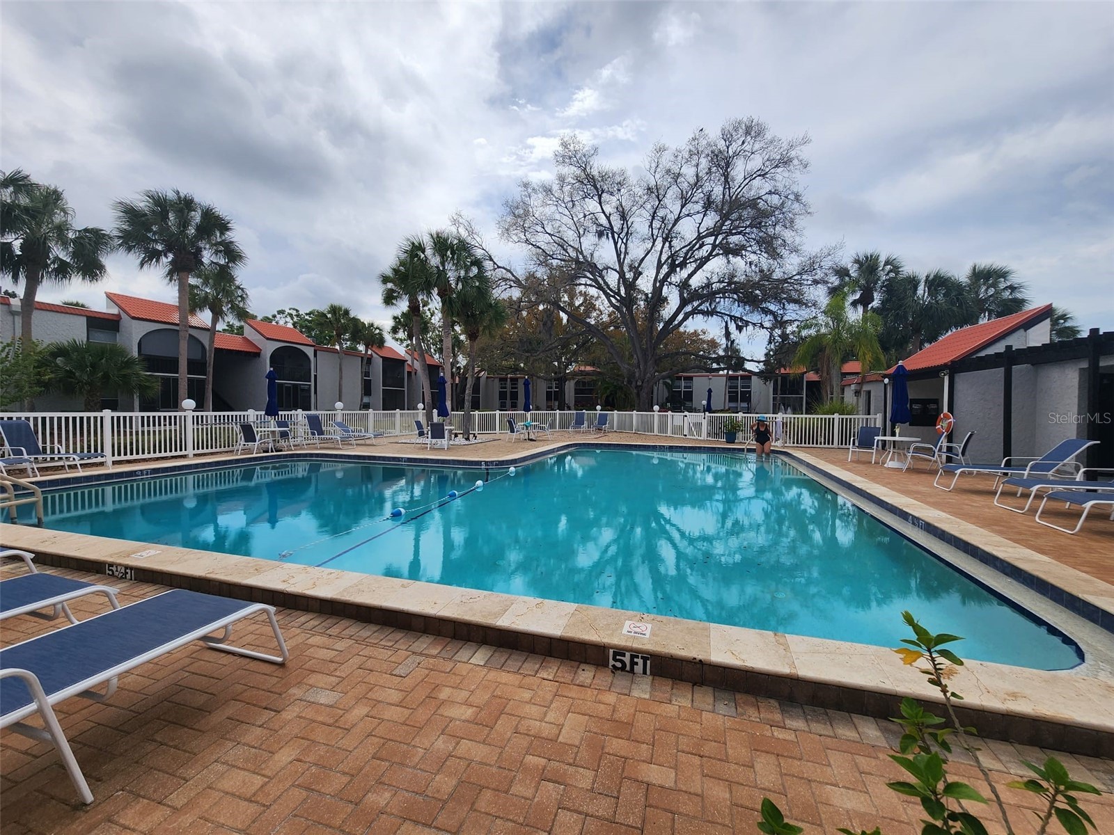 3249 Beneva Road #204 Sarasota FL 34232 W7882210 image13