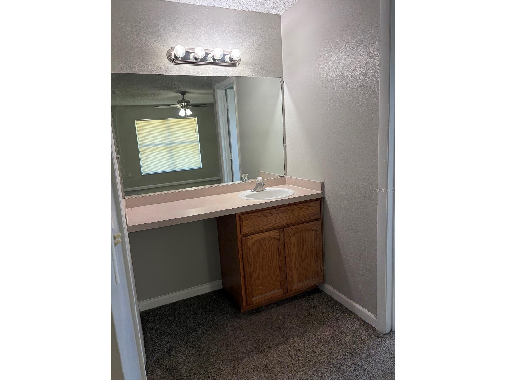 3249 Cottonwood Court Kissimmee FL 34746 S5149887 image19