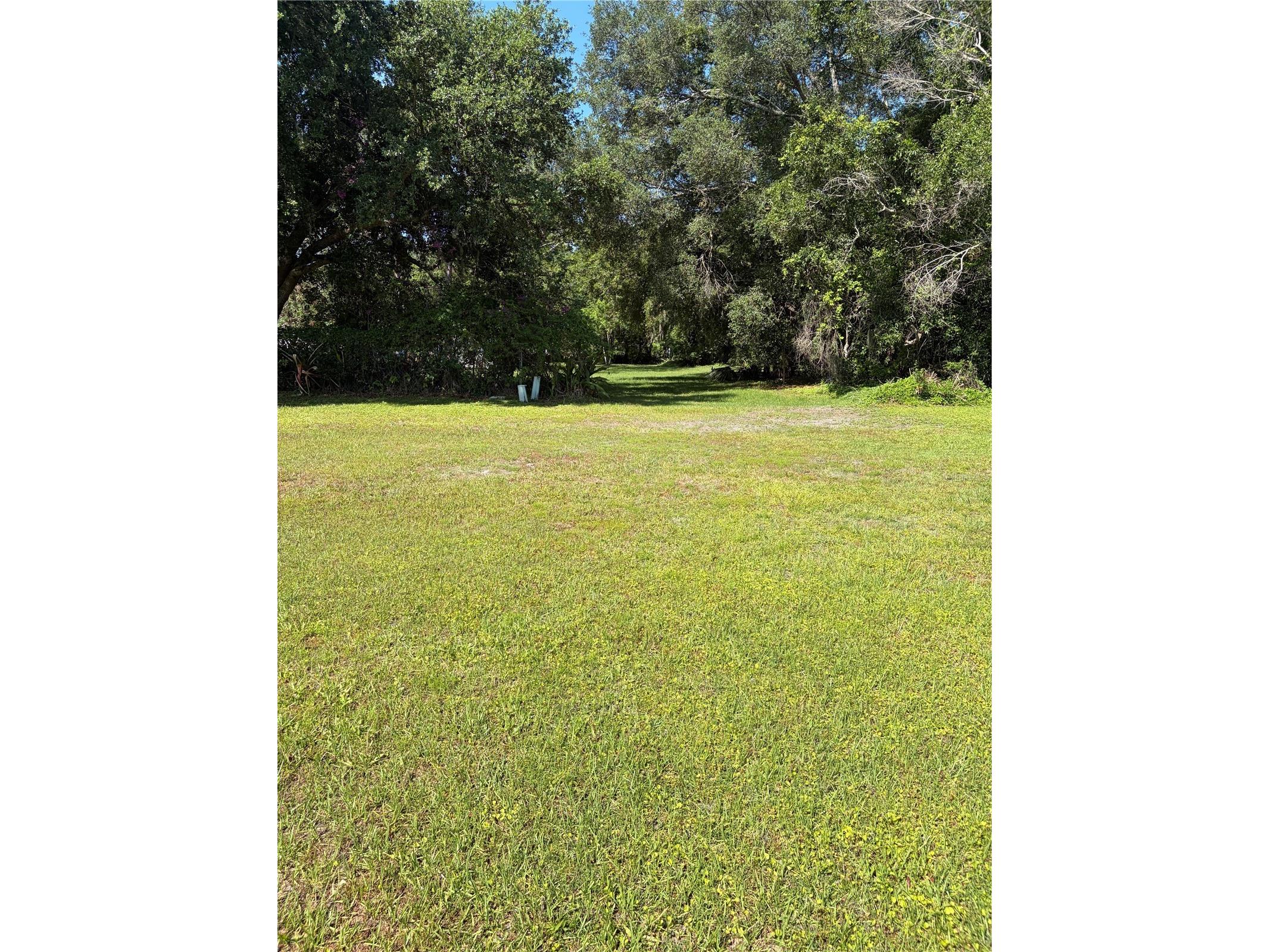 3249 Cottonwood Court Kissimmee FL 34746 S5149887 image26