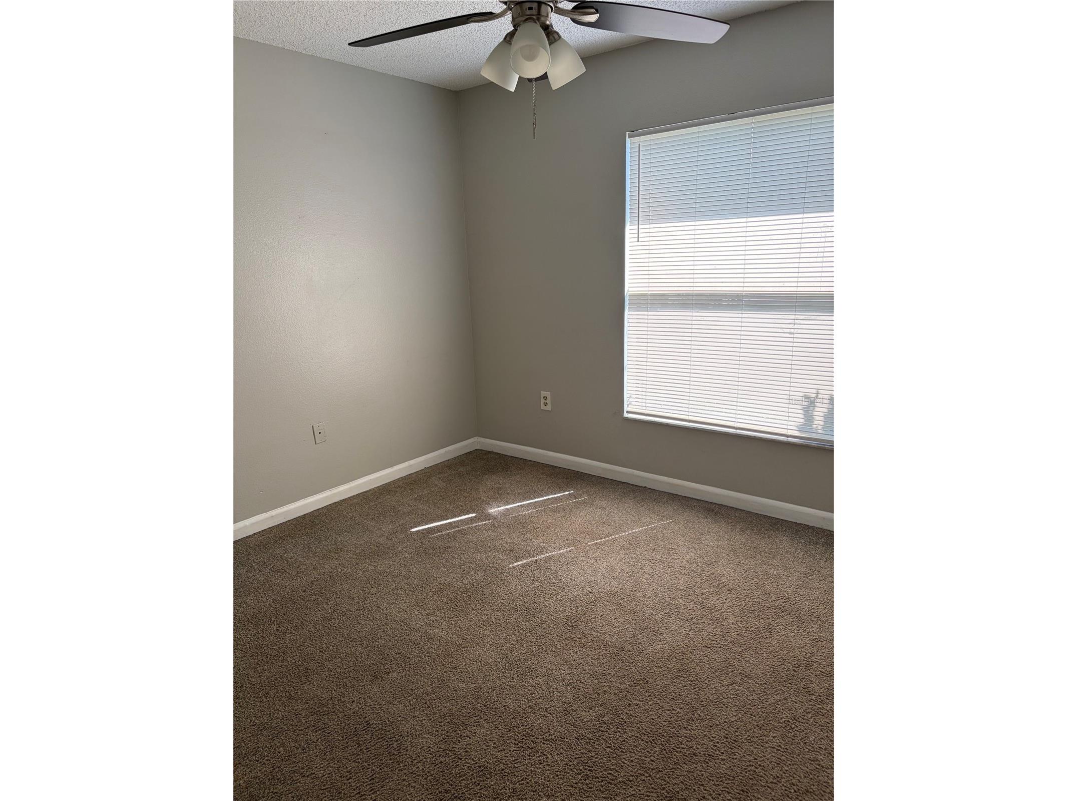 3249 Cottonwood Court Kissimmee FL 34746 S5149887 image8
