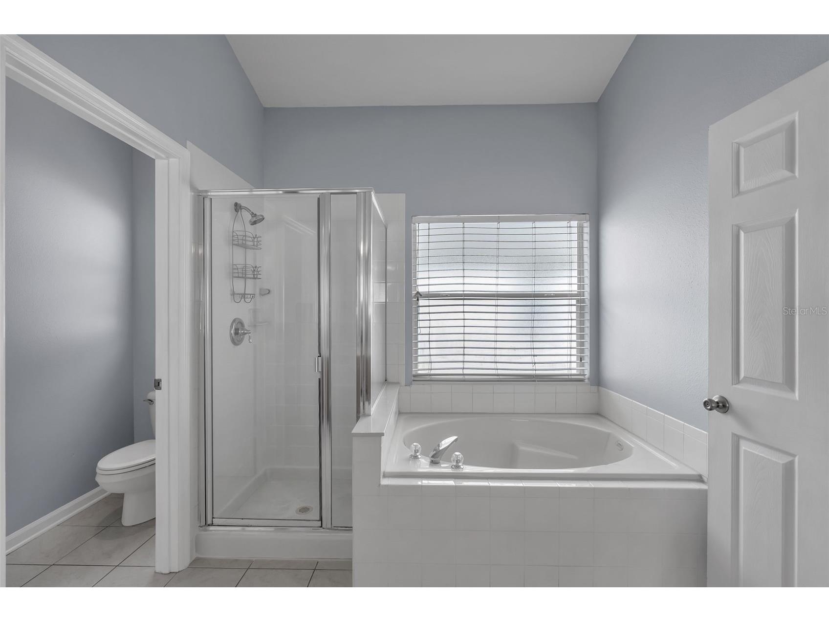 3249 Falcon Point Drive Kissimmee FL 34741 O6376917 image27