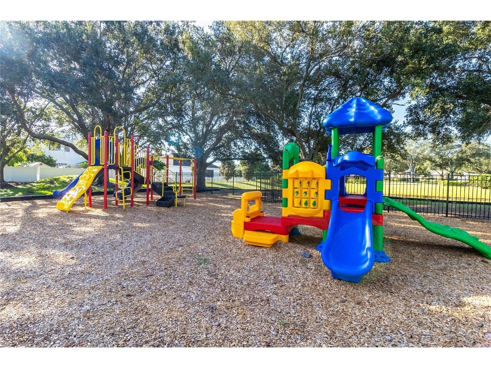 3249 Falcon Point Drive Kissimmee FL 34741 O6376917 image51