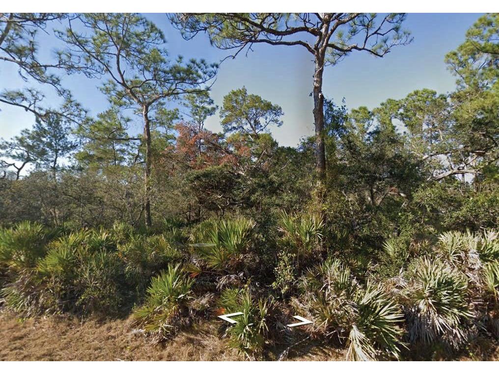 3249 Glen Springs Avenue Lake Placid FL 33852 O6308980 image1