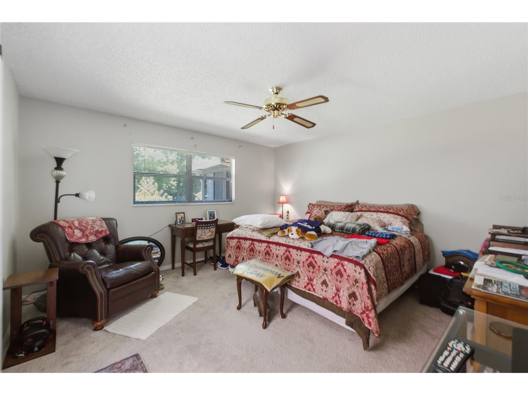 3249 Lori Lane #3249 New Port Richey FL 34655 W7886966 image13