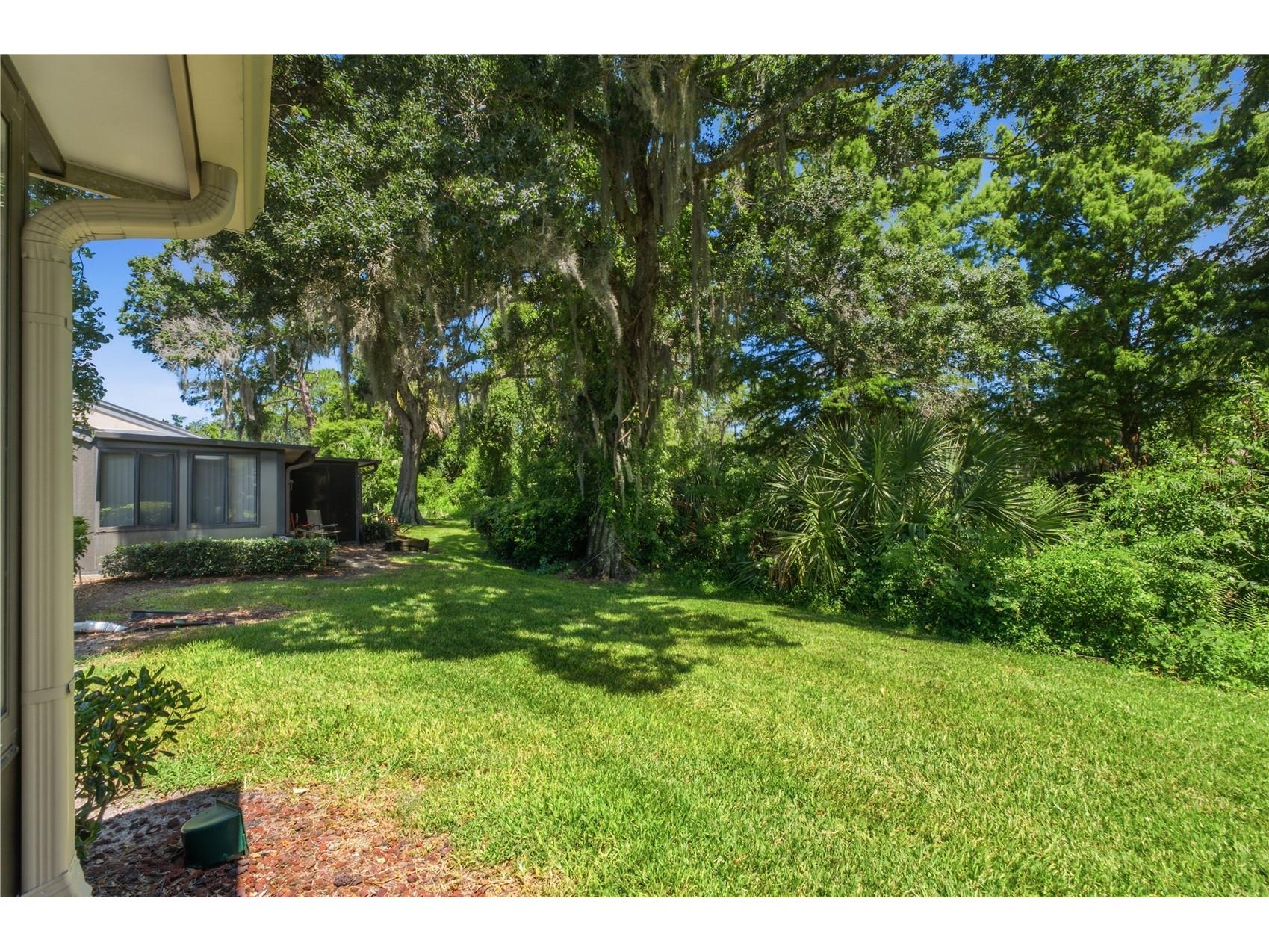 3249 Lori Lane #3249 New Port Richey FL 34655 W7886966 image26