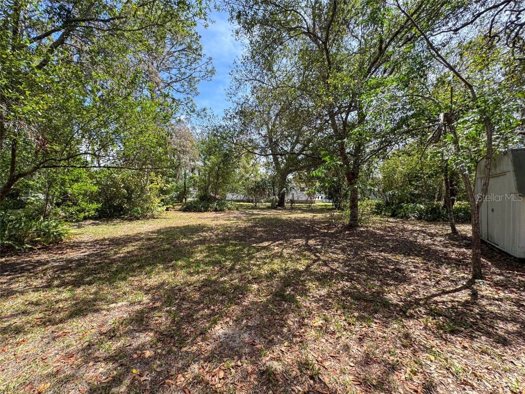 3249 Susan Drive Spring Hill FL 34606 S5123512 image54