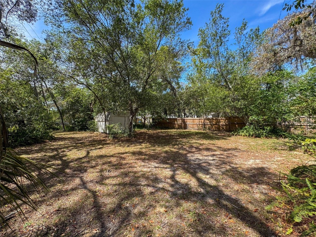 3249 Susan Drive Spring Hill FL 34606 S5123512 image56