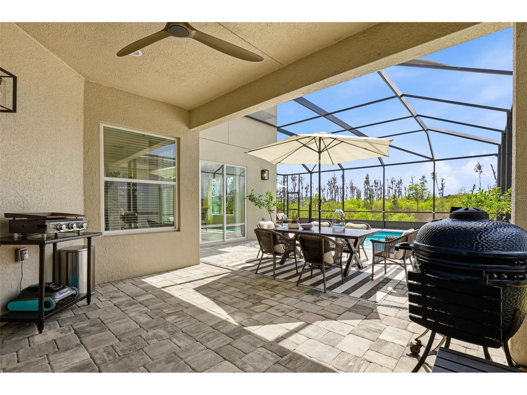 32490 Tree Of Life Avenue Wesley Chapel FL 33543 TB8491414 image31