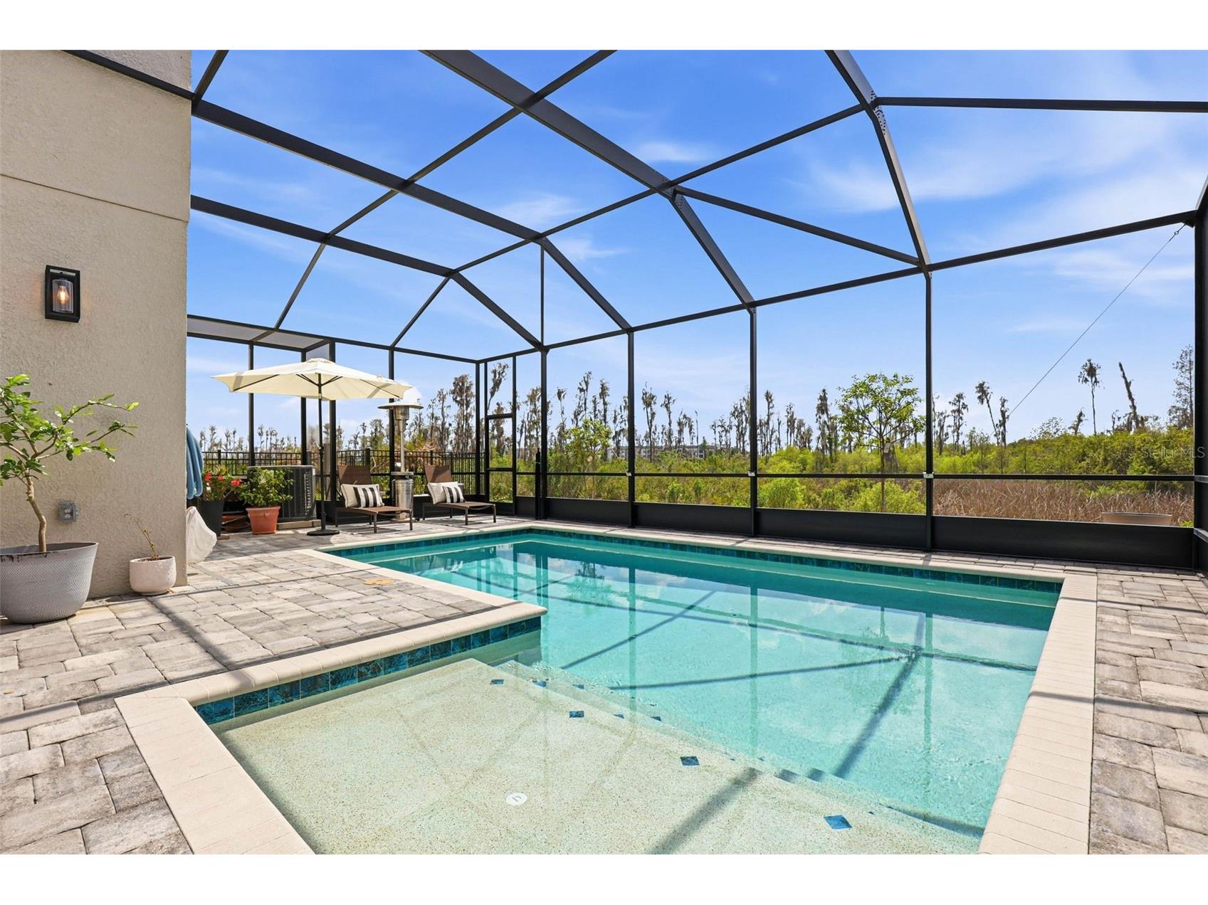 32490 Tree Of Life Avenue Wesley Chapel FL 33543 TB8491414 image33
