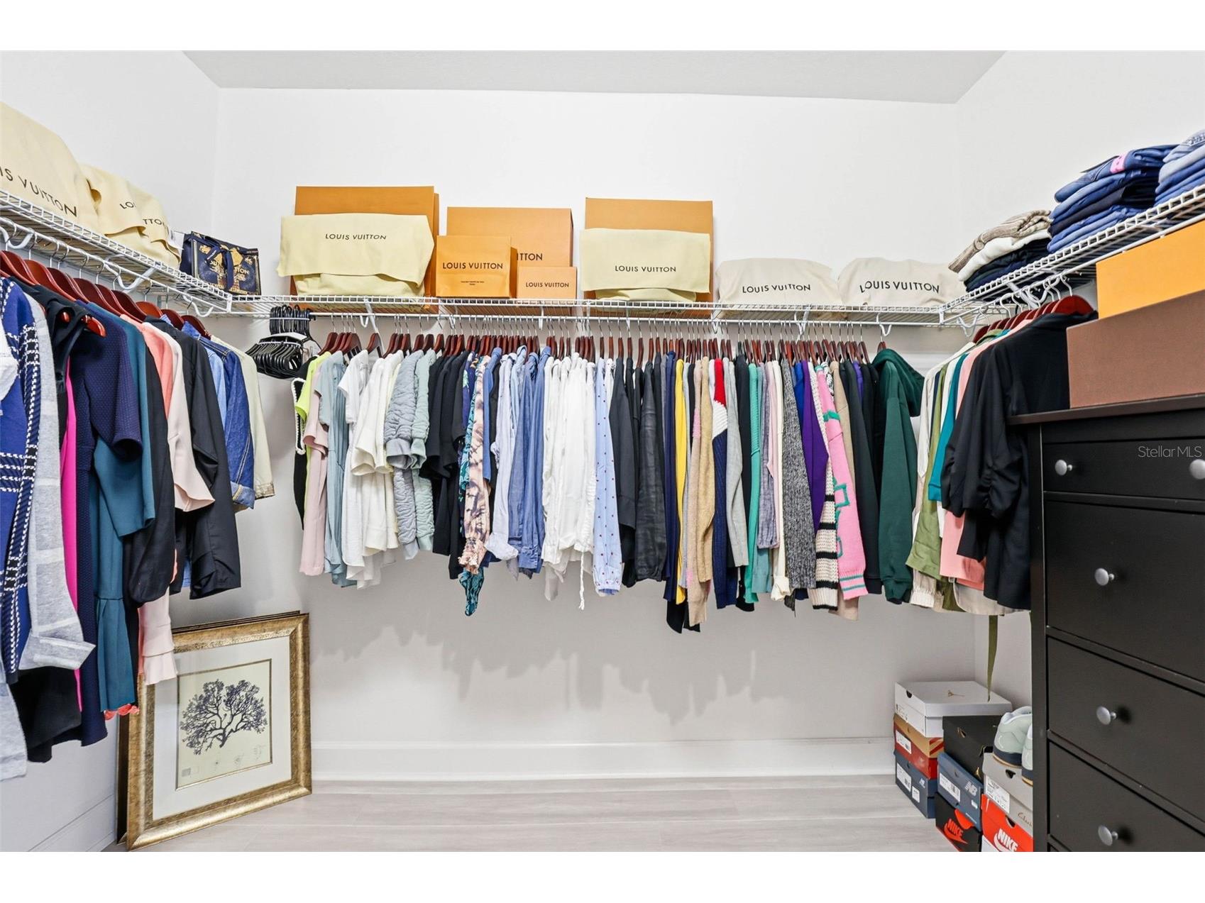 32490 Tree Of Life Avenue Wesley Chapel FL 33543 TB8491414 image53