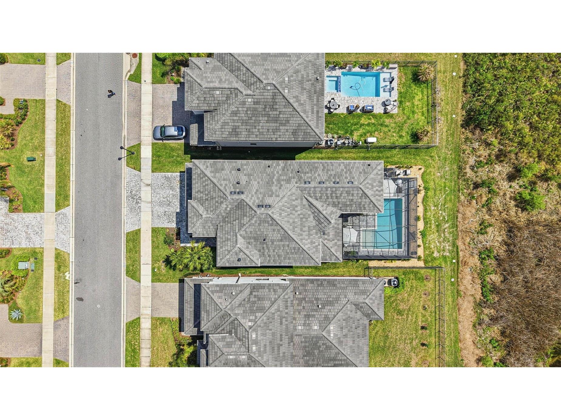 32490 Tree Of Life Avenue Wesley Chapel FL 33543 TB8491414 image72