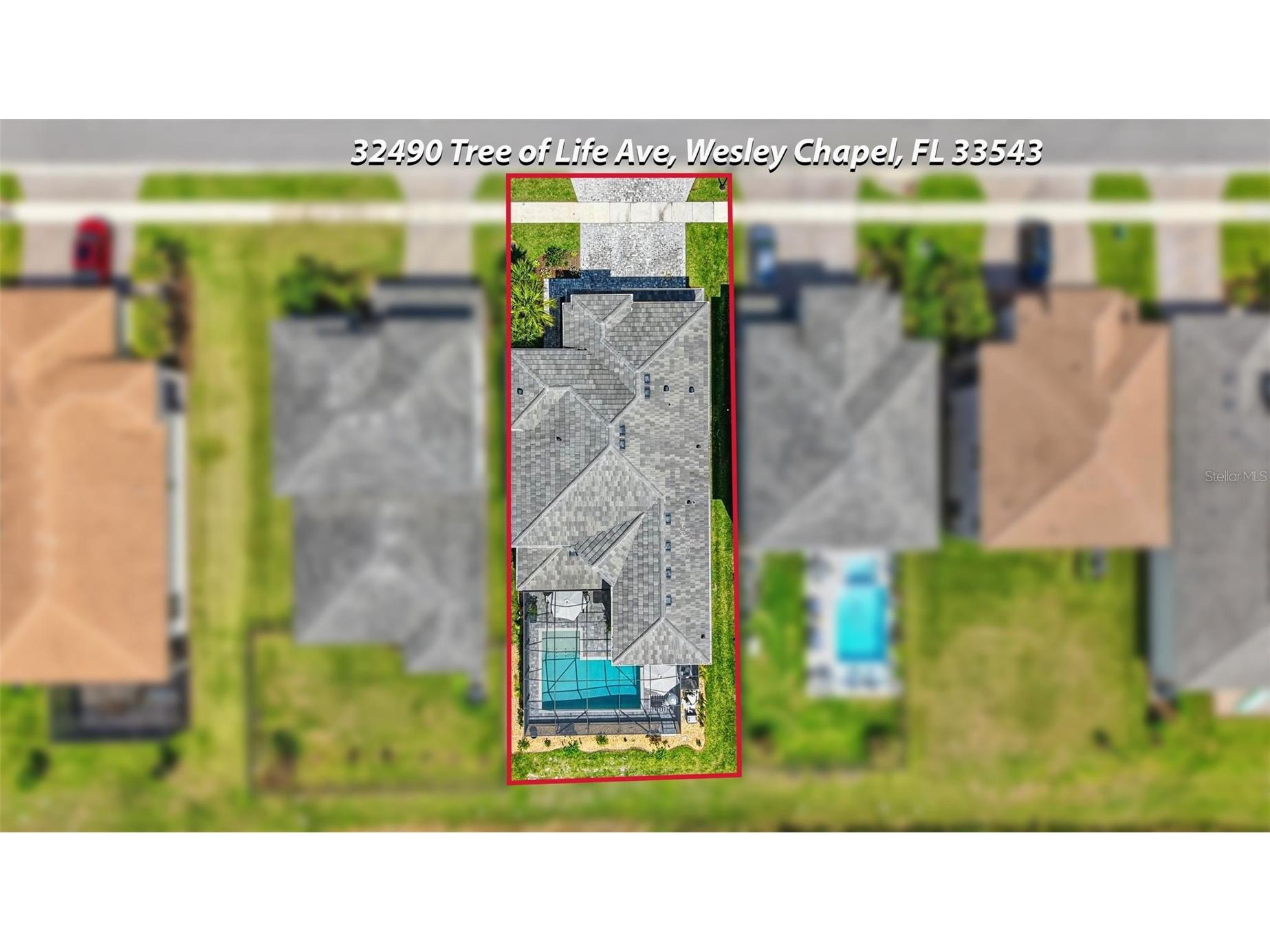 32490 Tree Of Life Avenue Wesley Chapel FL 33543 TB8491414 image73