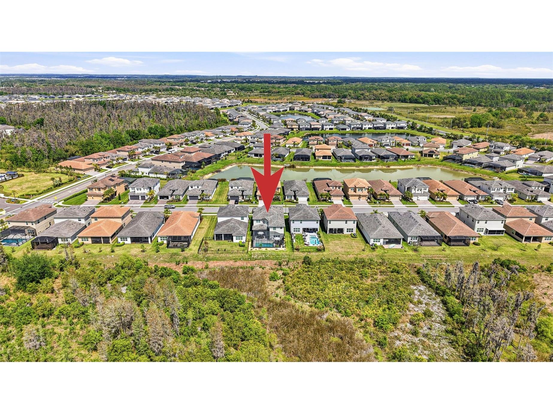 32490 Tree Of Life Avenue Wesley Chapel FL 33543 TB8491414 image74