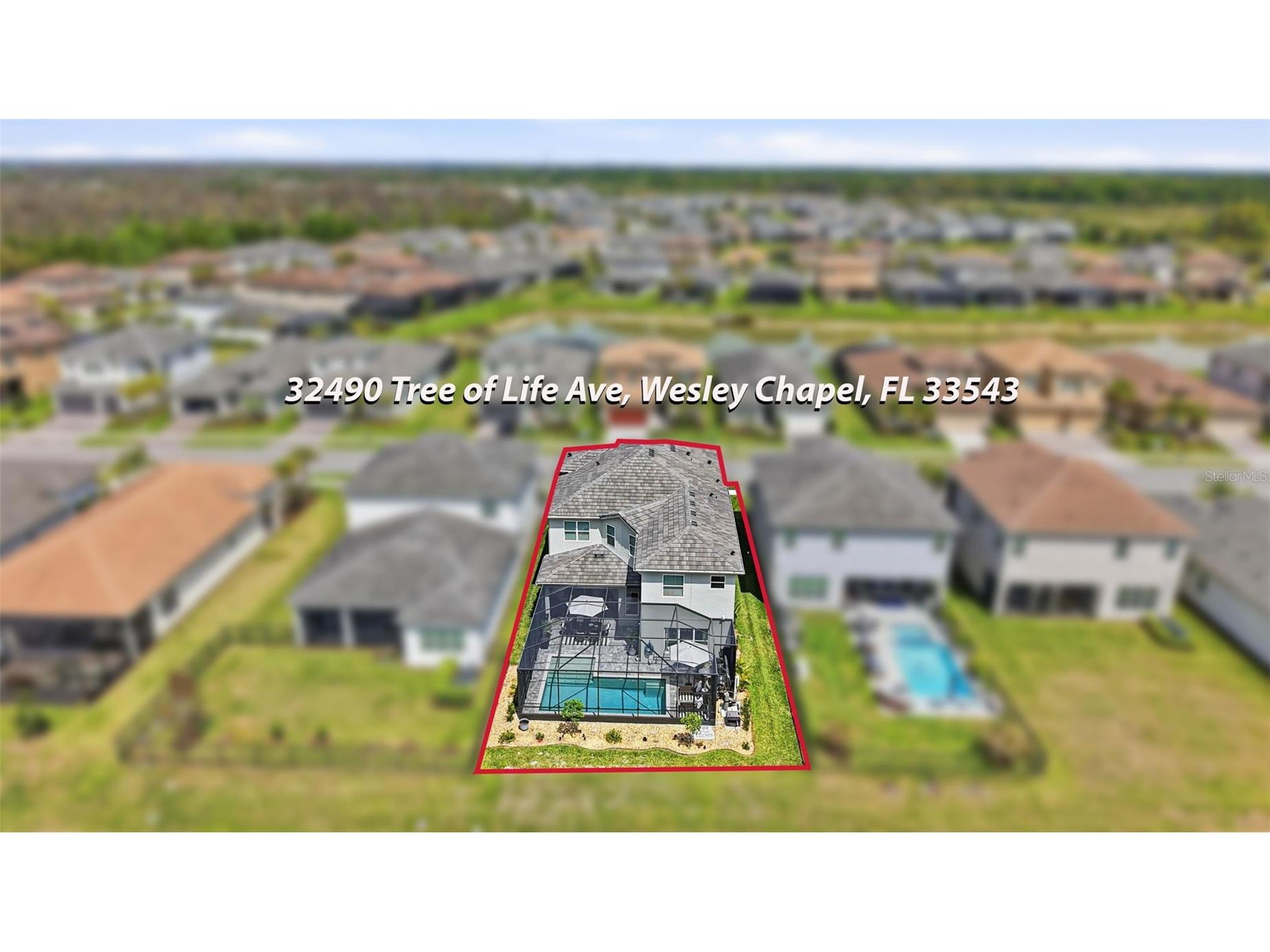 32490 Tree Of Life Avenue Wesley Chapel FL 33543 TB8491414 image76
