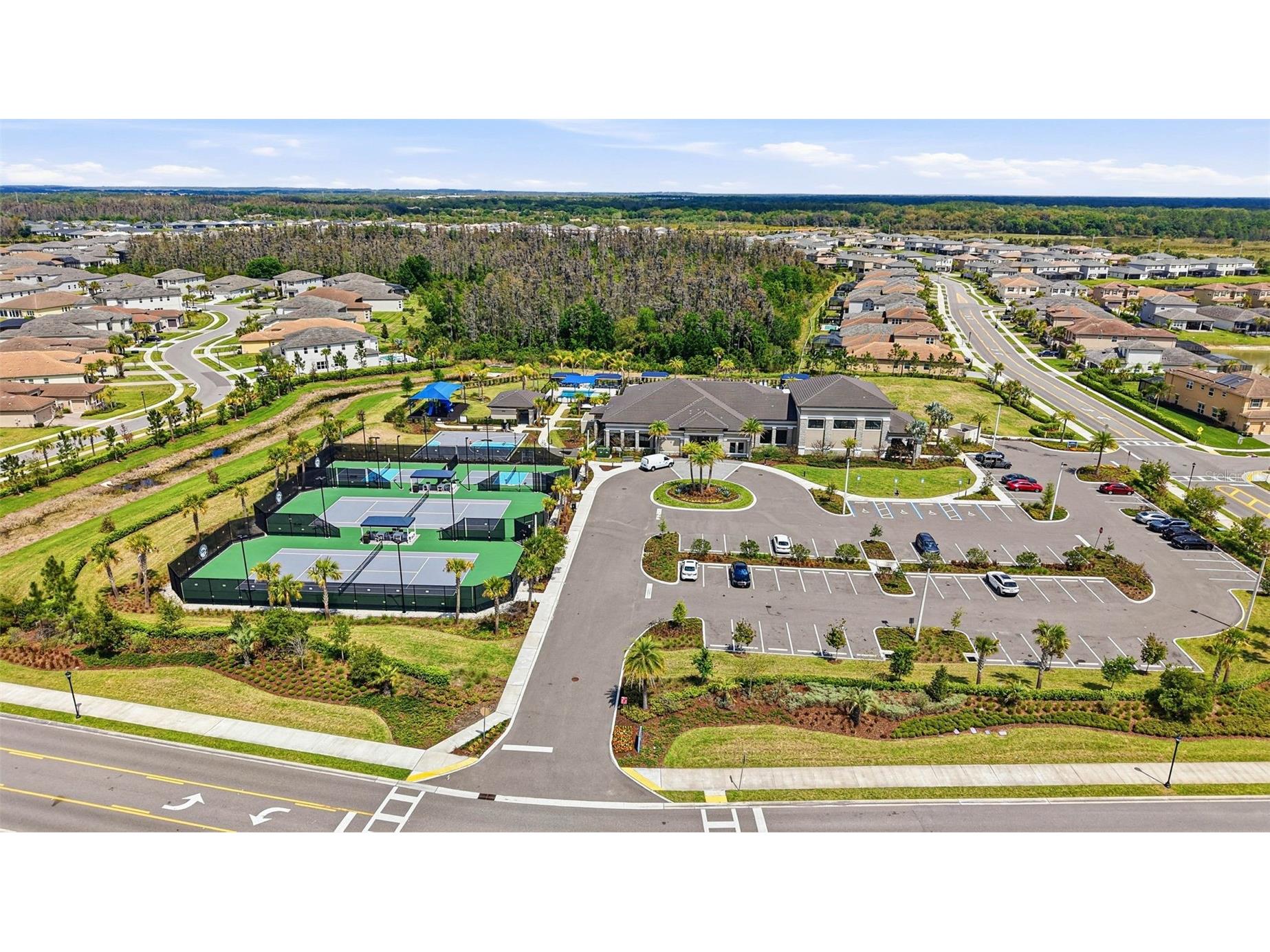 32490 Tree Of Life Avenue Wesley Chapel FL 33543 TB8491414 image79