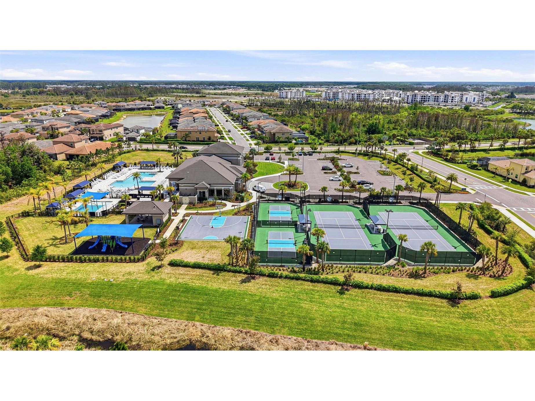 32490 Tree Of Life Avenue Wesley Chapel FL 33543 TB8491414 image81