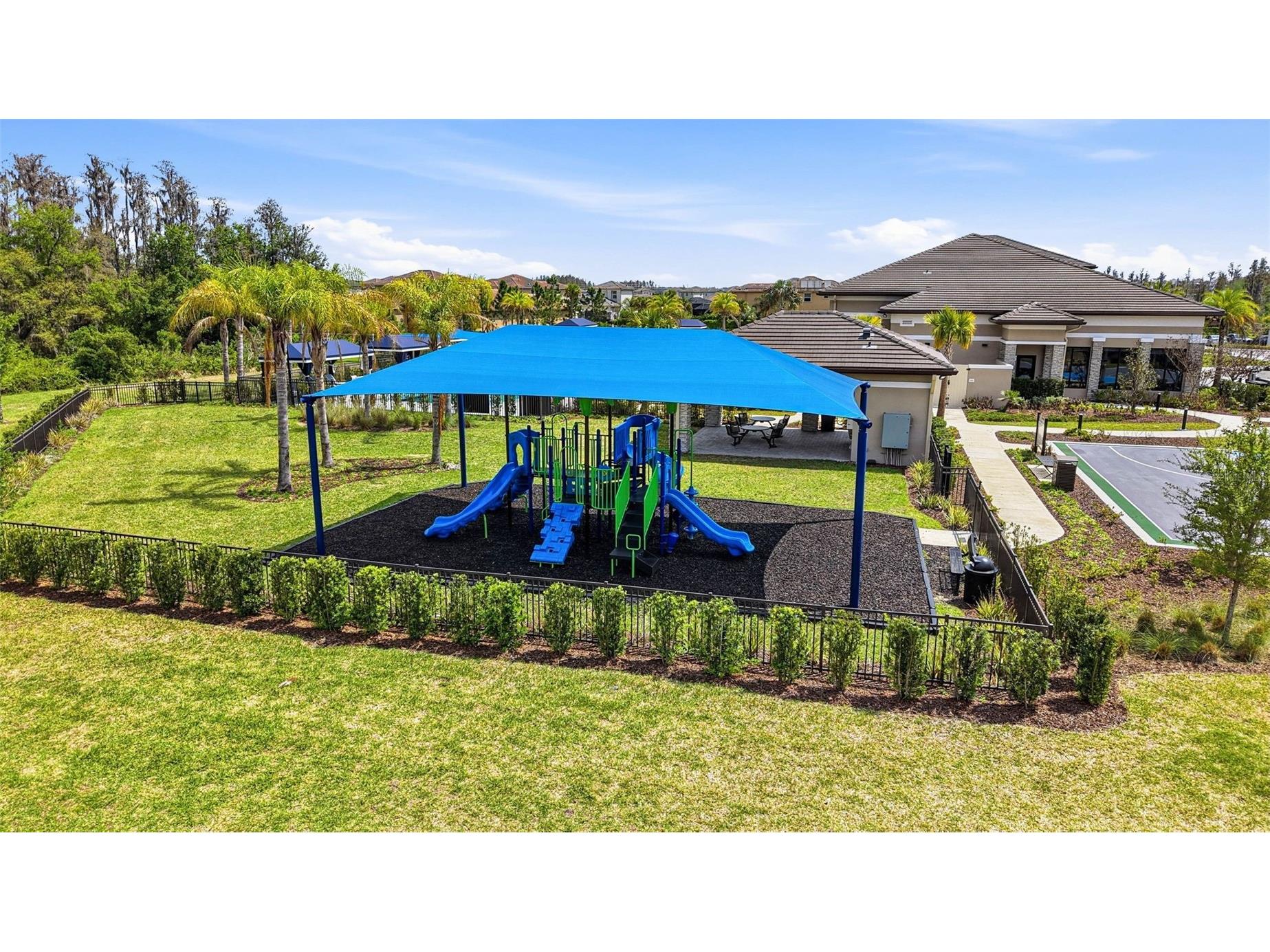 32490 Tree Of Life Avenue Wesley Chapel FL 33543 TB8491414 image82