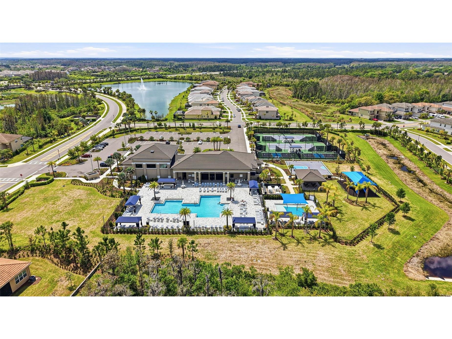 32490 Tree Of Life Avenue Wesley Chapel FL 33543 TB8491414 image84