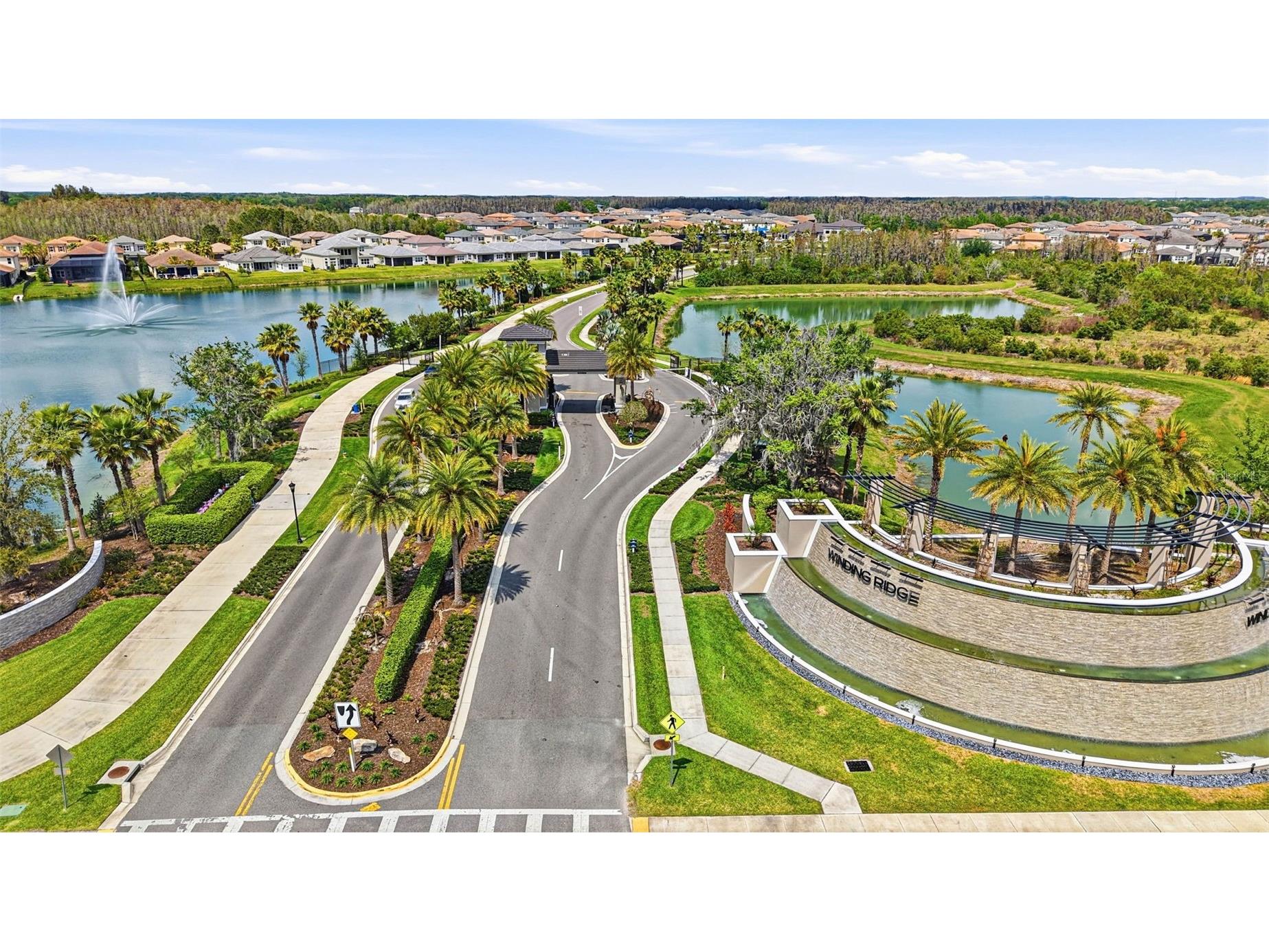 32490 Tree Of Life Avenue Wesley Chapel FL 33543 TB8491414 image87