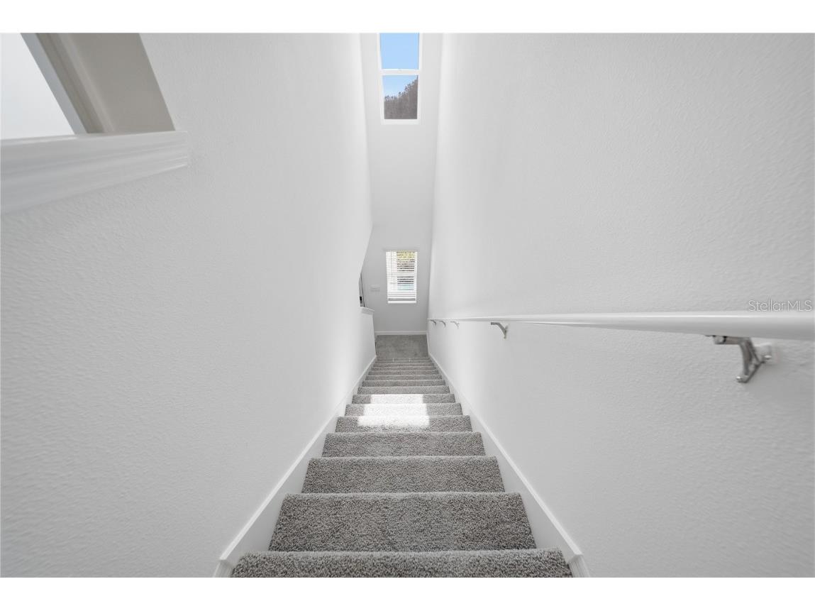 32495 Midsummer Night Lane Wesley Chapel FL 33543 TB8455721 image14