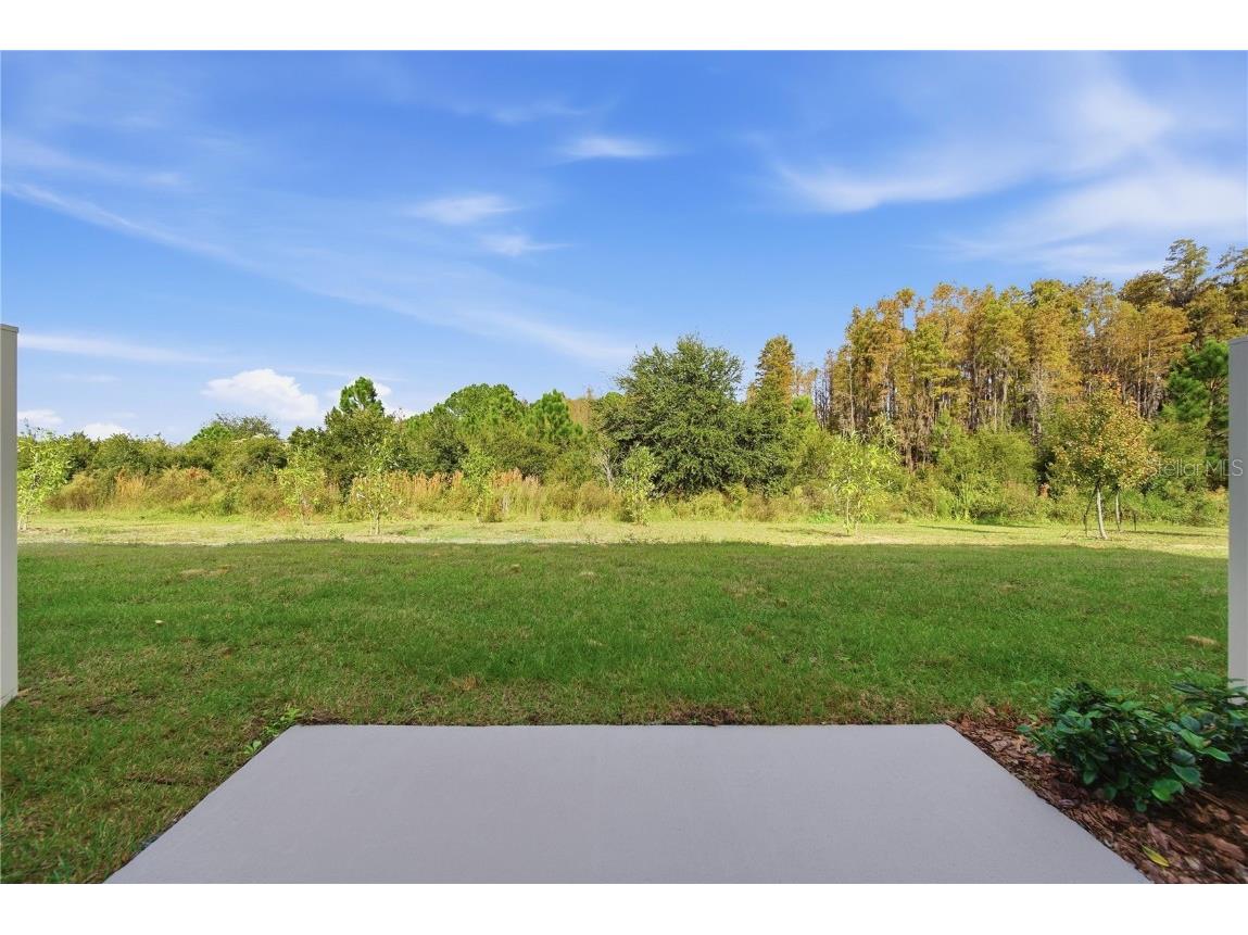 32497 Midsummer Night Lane Wesley Chapel FL 33543 TB8454784 image10