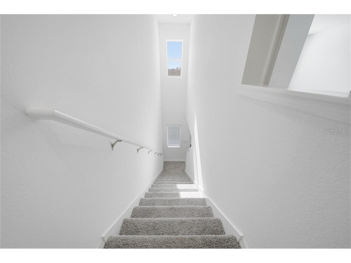 32497 Midsummer Night Lane Wesley Chapel FL 33543 TB8454784 image14