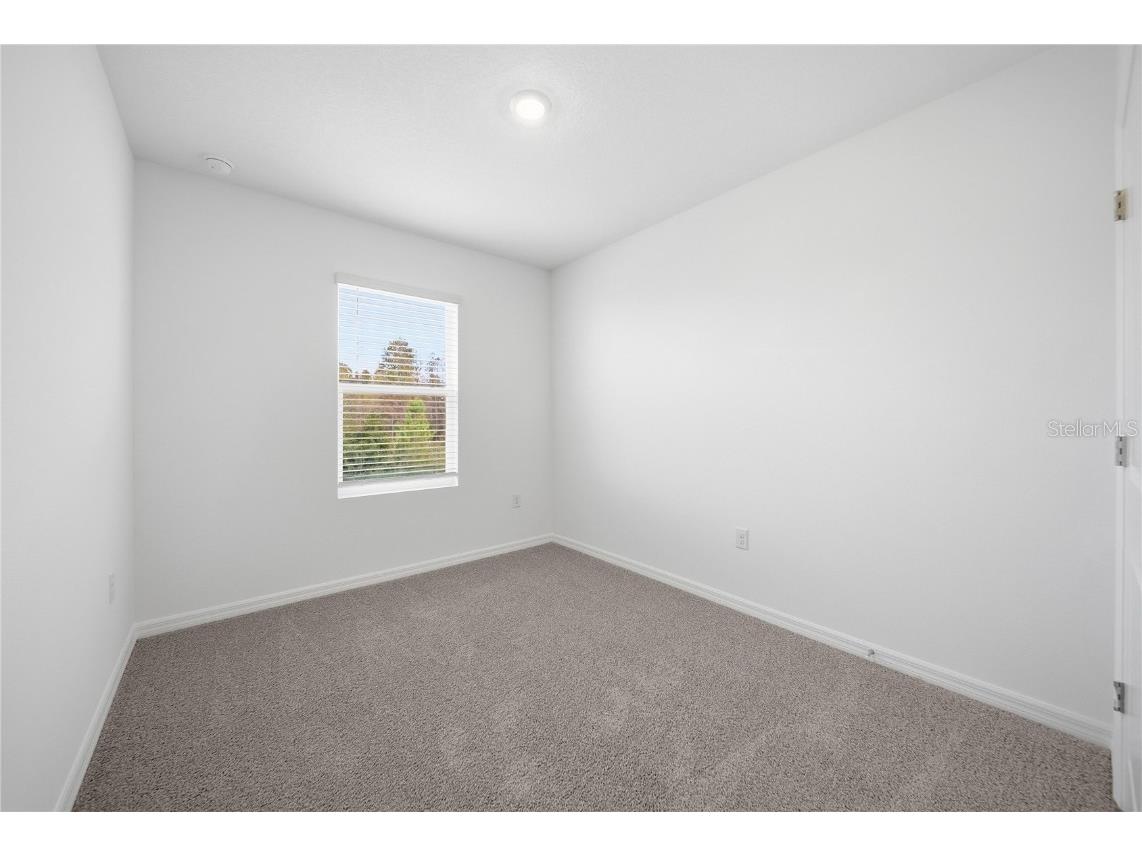 32497 Midsummer Night Lane Wesley Chapel FL 33543 TB8454784 image18