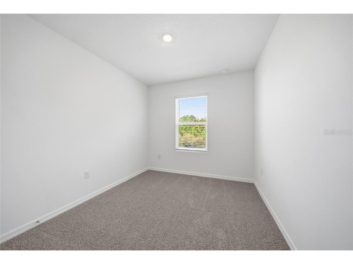 32497 Midsummer Night Lane Wesley Chapel FL 33543 TB8454784 image20