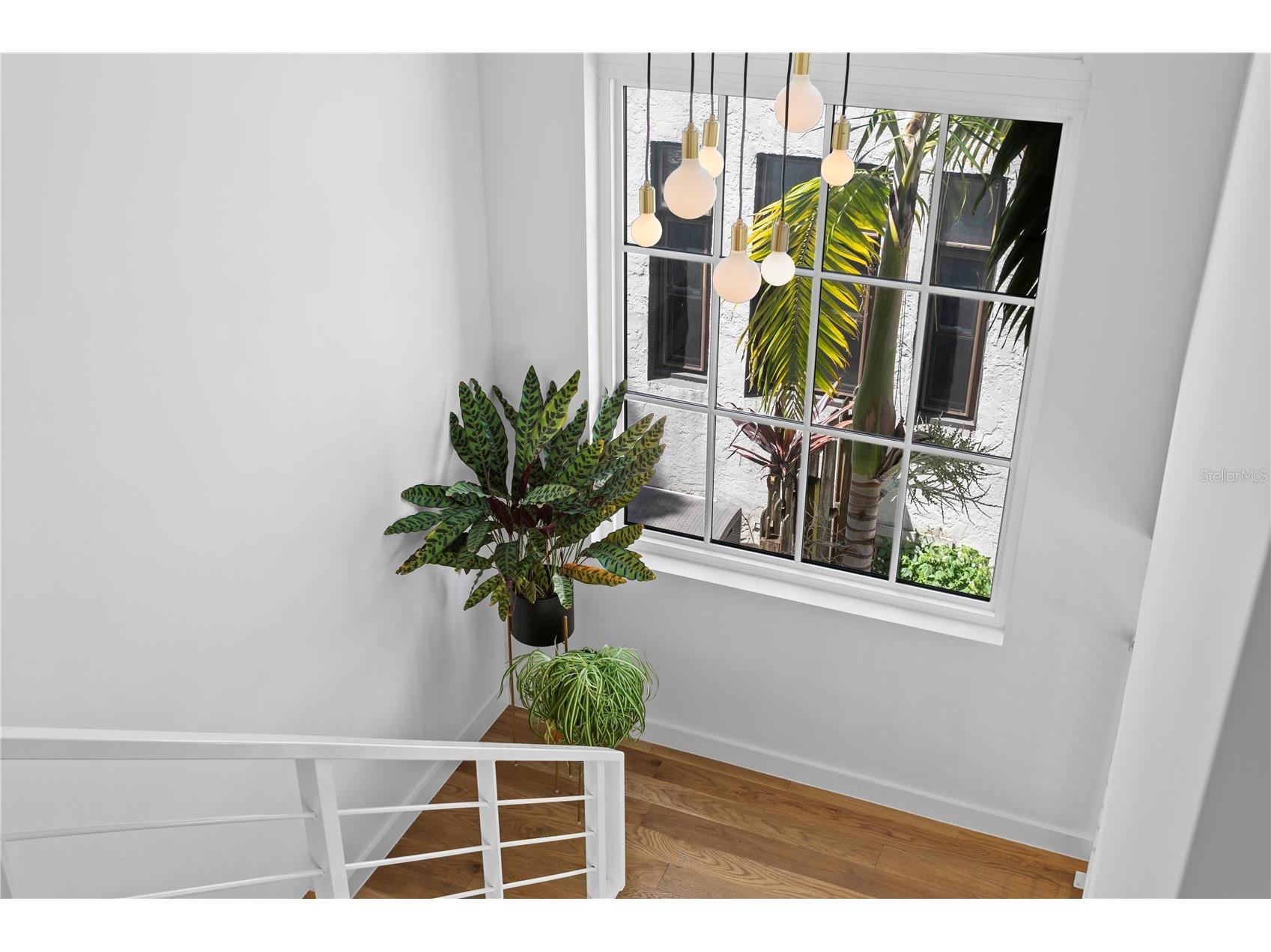 325 22nd Avenue NE Saint Petersburg FL 33704 TB8494085 image28