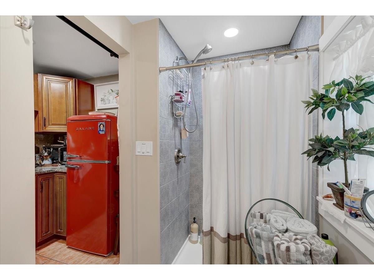 325 49th Street N Saint Petersburg FL 33710 TB8507435 image25