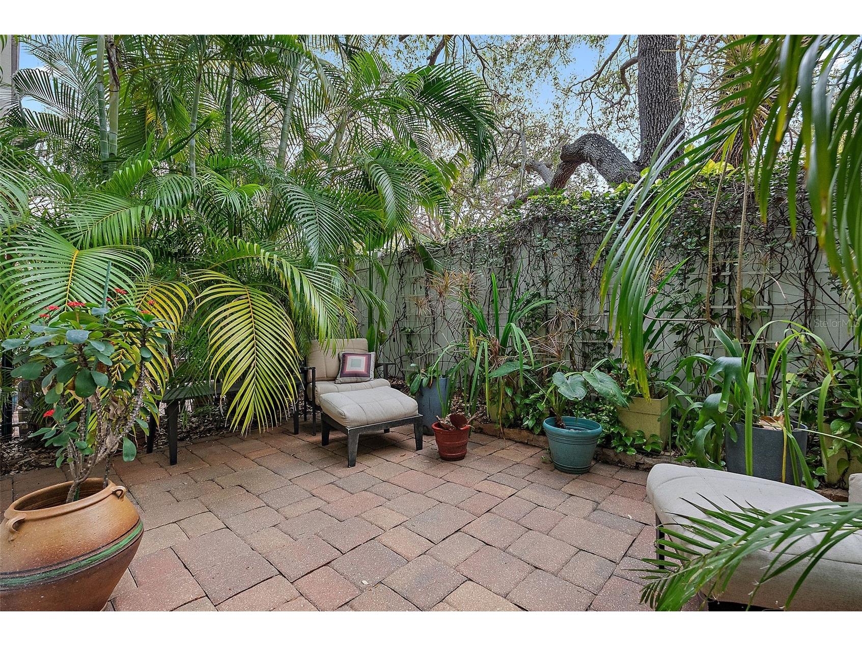 325 5th Avenue S #10 Saint Petersburg FL 33701 TB8484527 image15