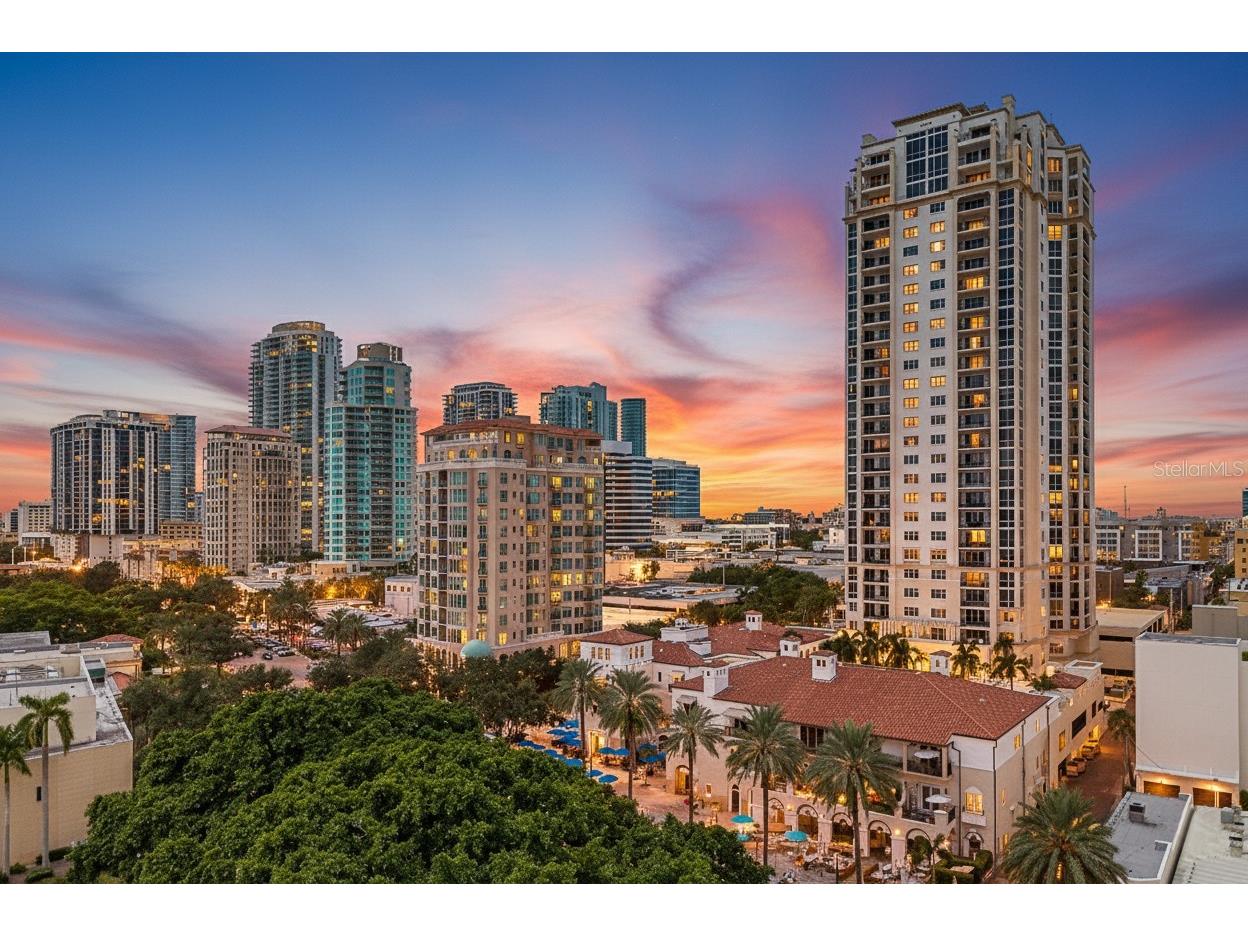 325 5th Avenue S #6 Saint Petersburg FL 33701 TB8474703 image31