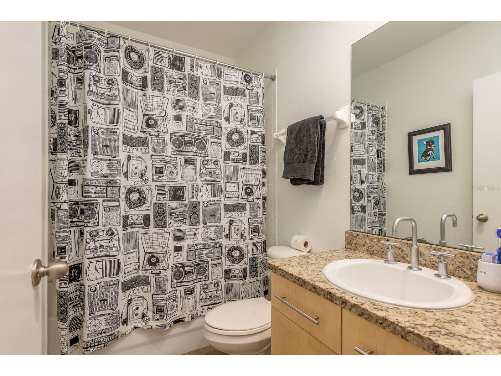 325 5th Avenue S #6 Saint Petersburg FL 33701 TB8474703 image5