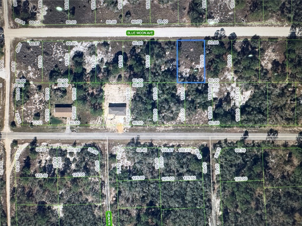325 Blue Moon Avenue Lake Placid FL 33852 OM706396 image1