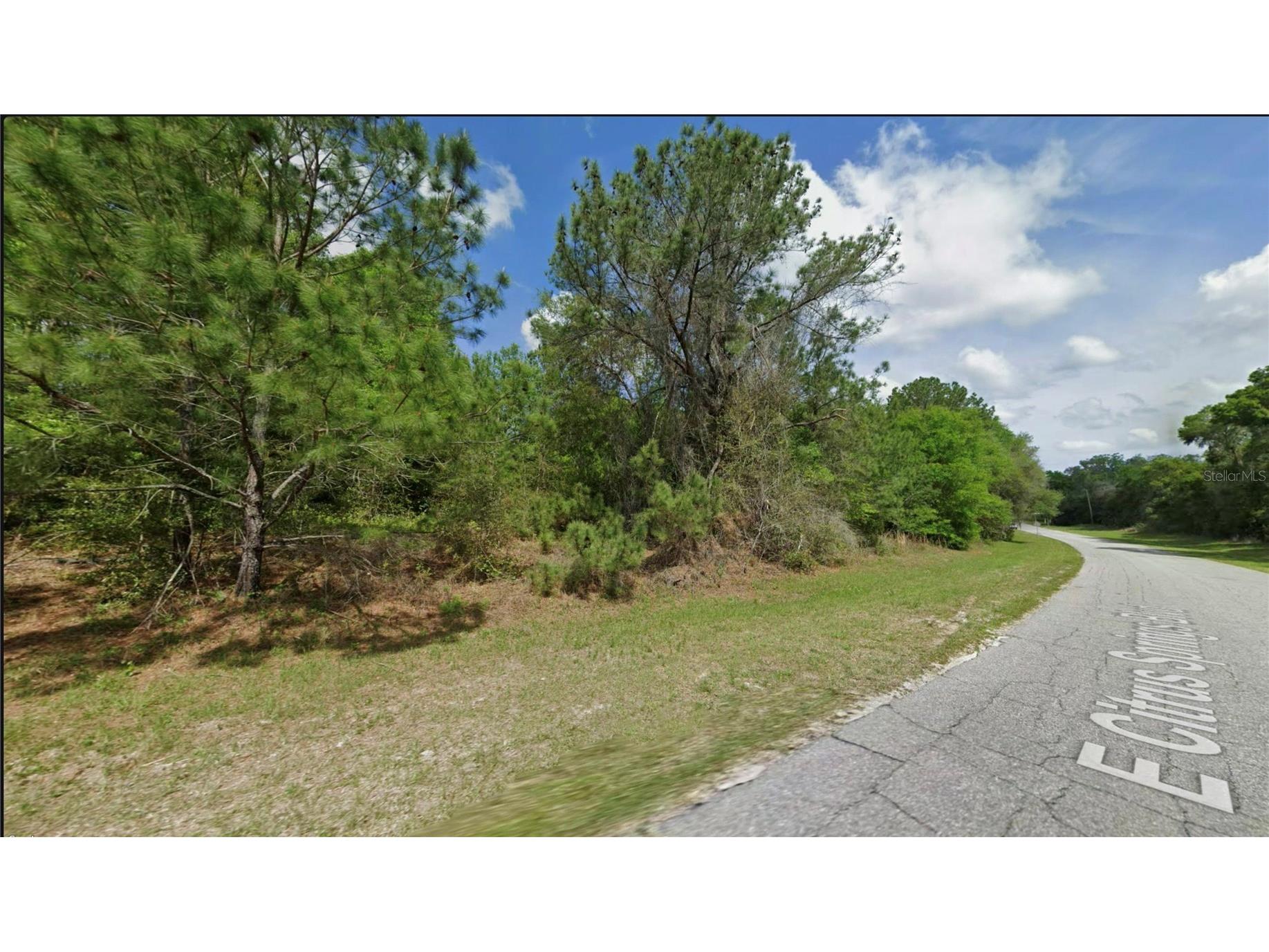 325 E Citrus Springs Boulevard Citrus Springs FL 34434 OM724013 image1