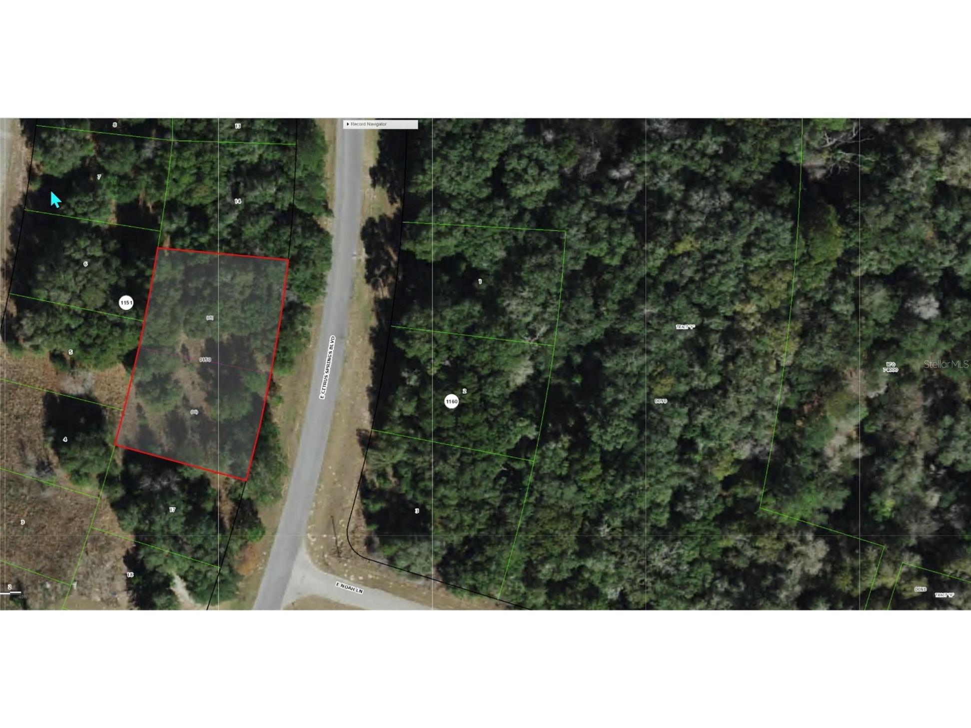 325 E Citrus Springs Boulevard Citrus Springs FL 34434 OM724013 image2