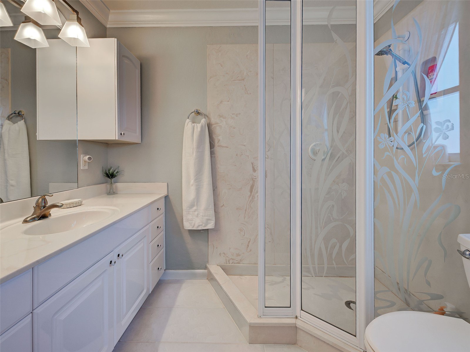 325 Fiesole Street Venice FL 34285 A4673885 image13