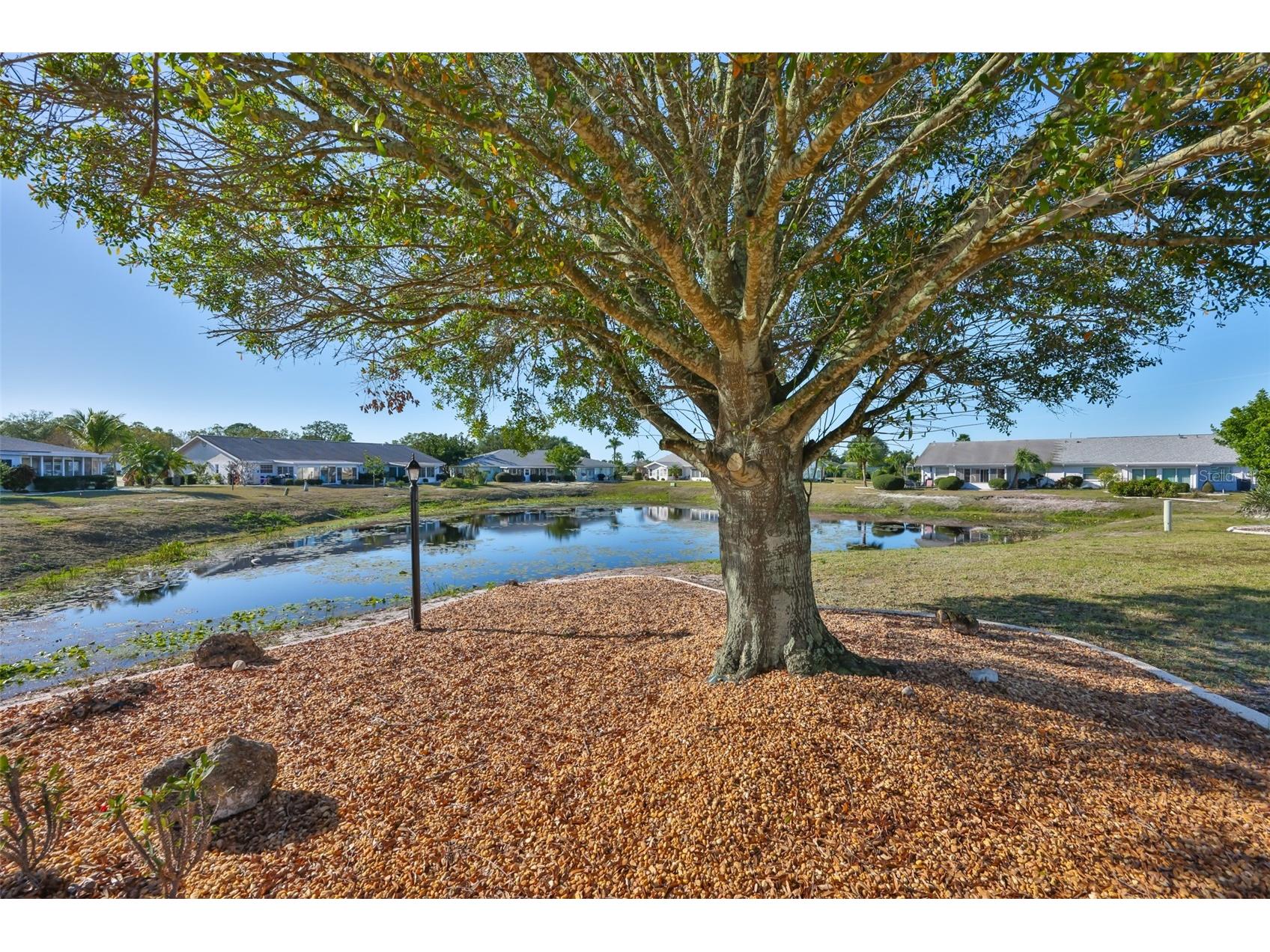 325 Green Manor Drive Sun City Center FL 33573 TB8466789 image34