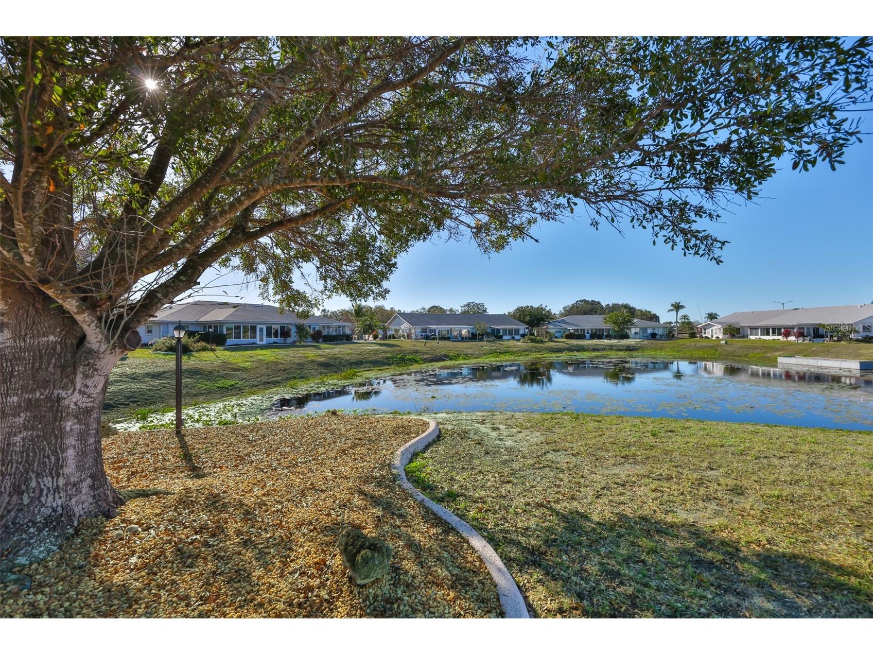 325 Green Manor Drive Sun City Center FL 33573 TB8466789 image35