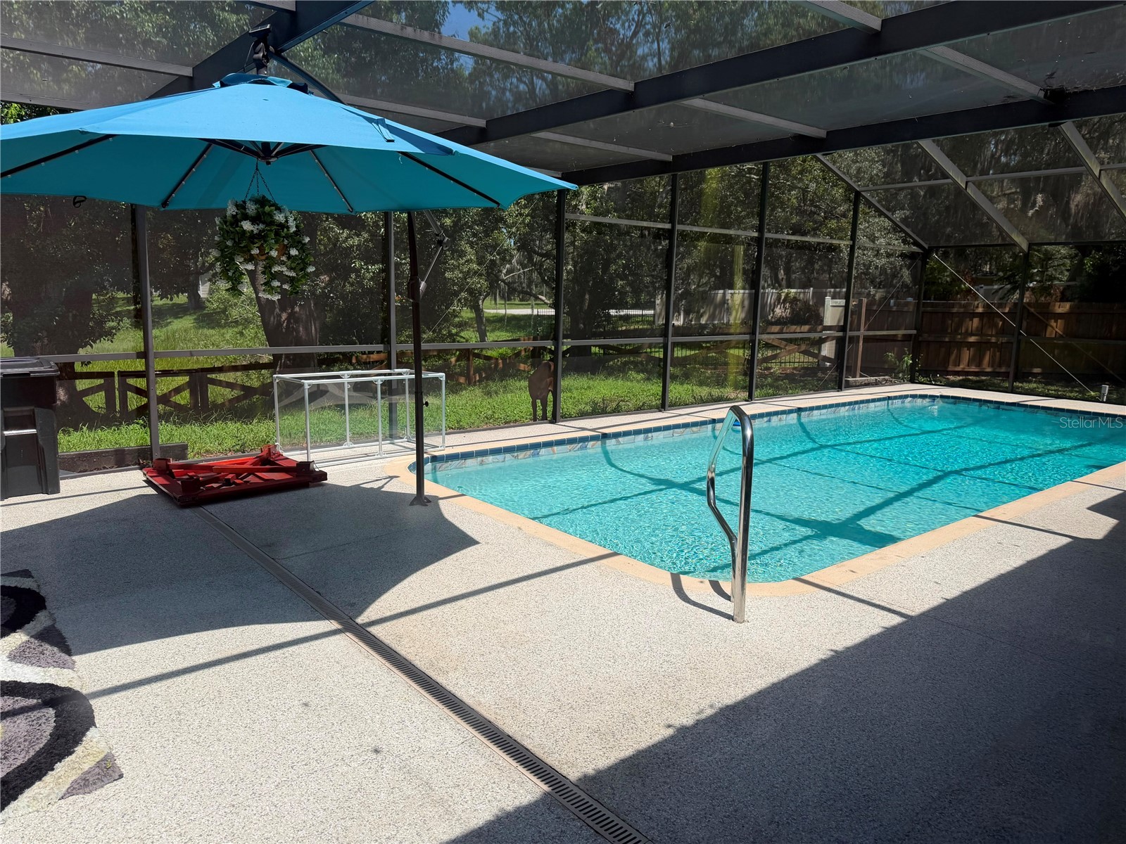 325 Gulfport Lane Spring Hill FL 34608 TB8531764 image6