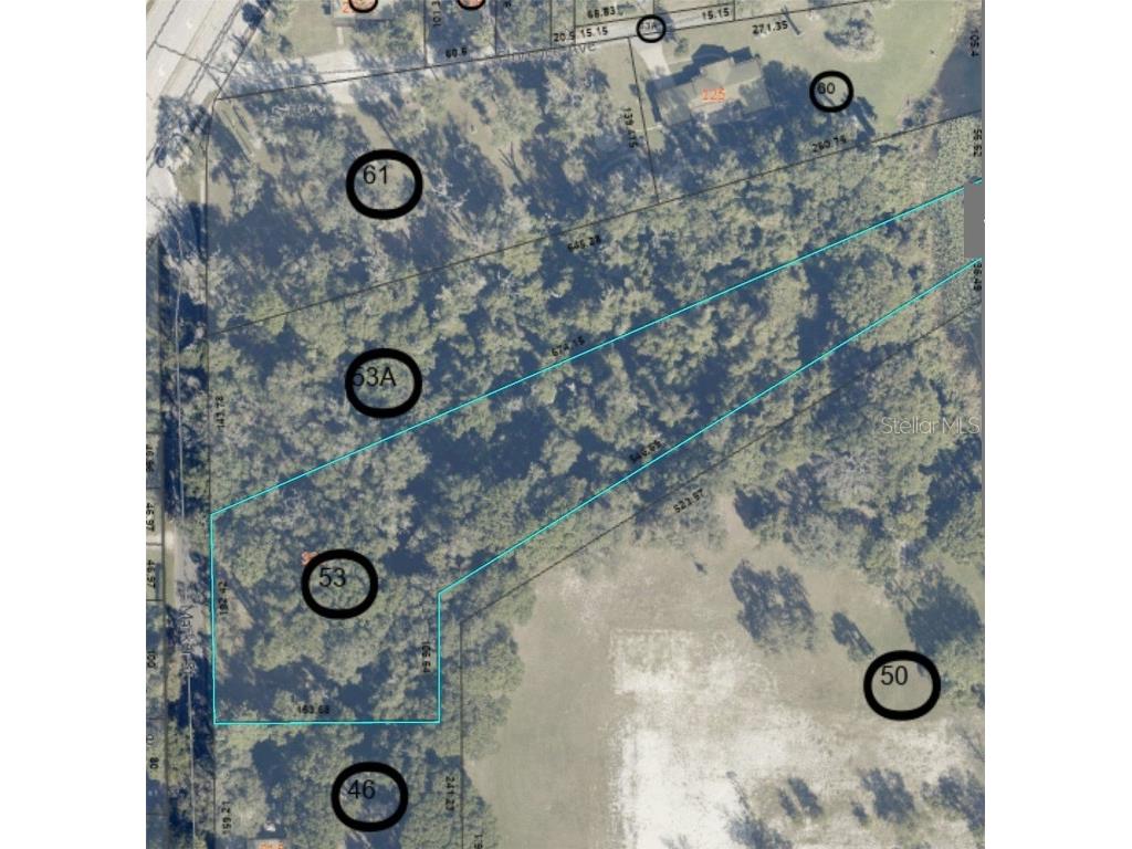 325 Marker Street Altamonte Springs FL 32701 - LAKE MOBILE O6328265 image1