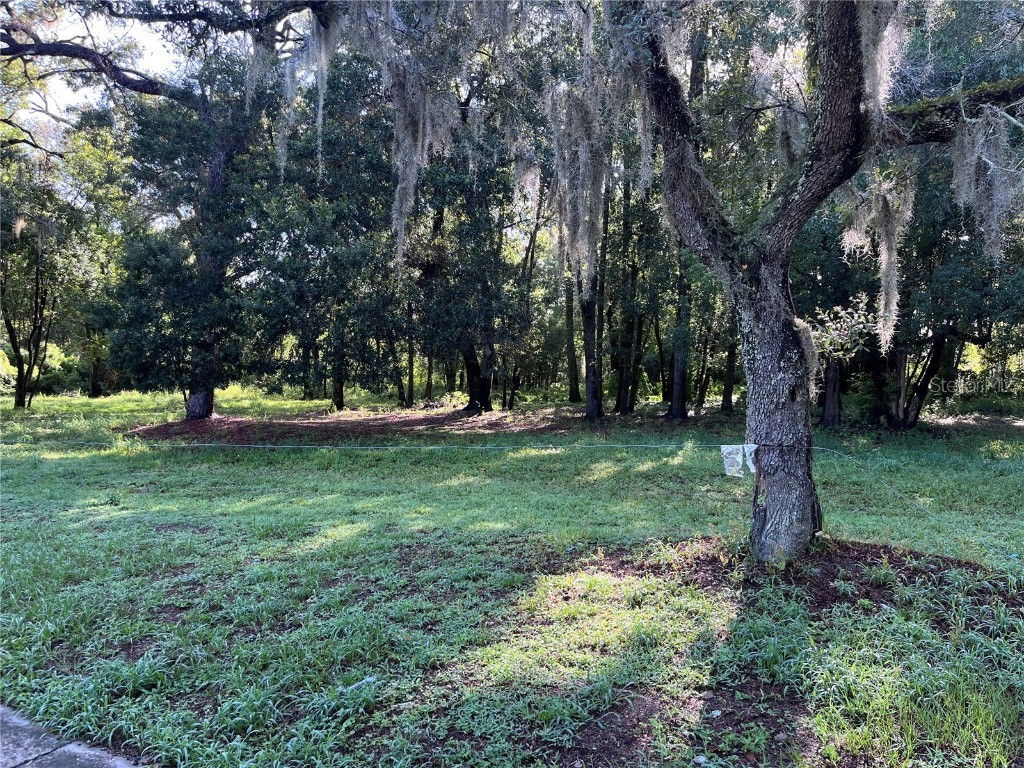 325 Marker Street Altamonte Springs FL 32701 - LAKE MOBILE O6328265 image7