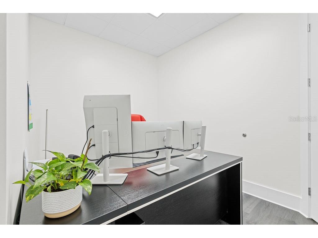 325 Mears Boulevard #100 Oldsmar FL 34677 W7877969 image7