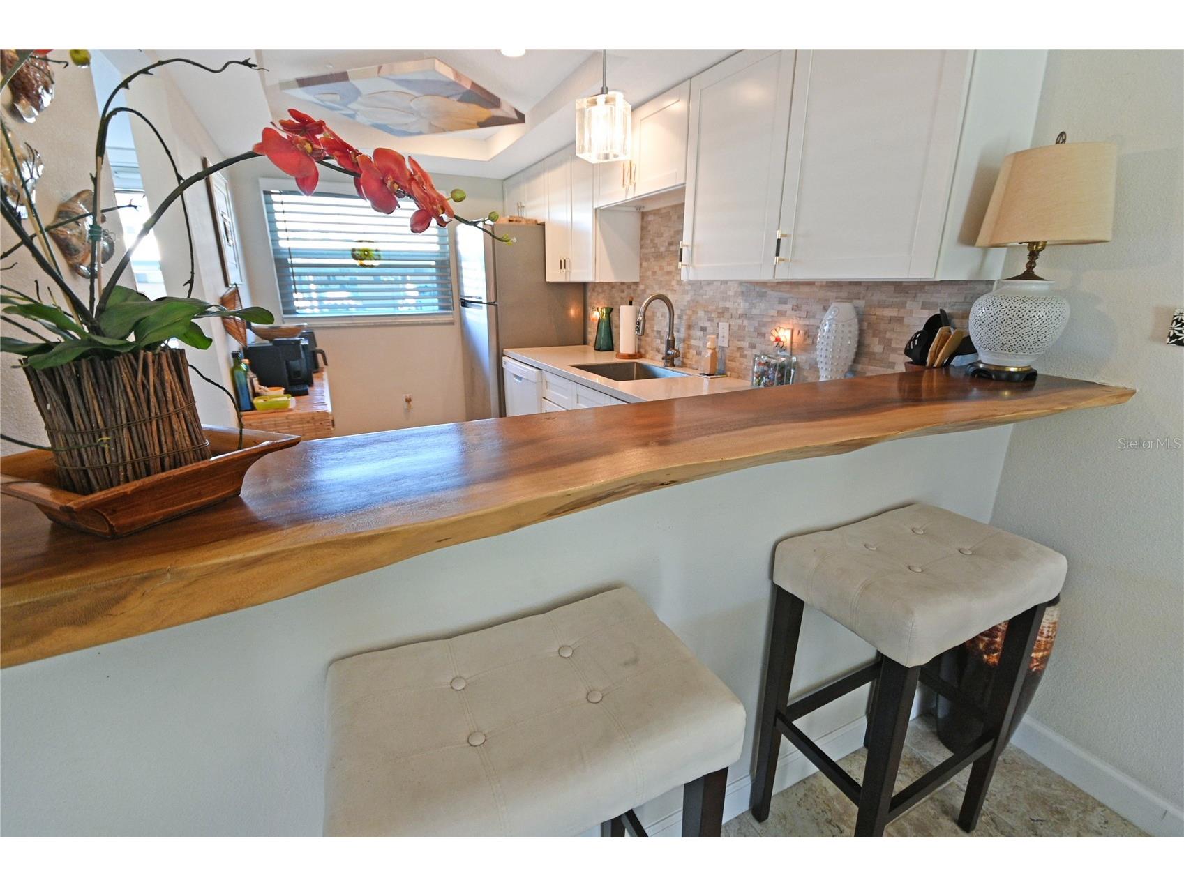 325 N Causeway #1020 New Smyrna Beach FL 32169 NS1087228 image10