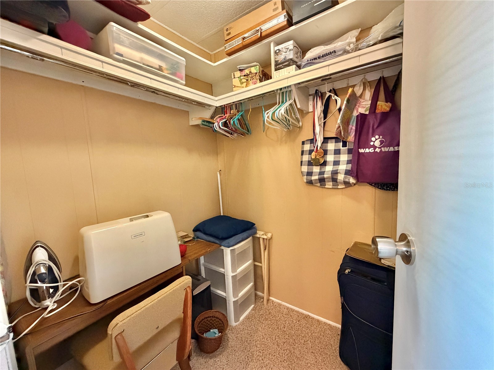 325 Palo Verde Drive Leesburg FL 34748 G5109909 image30