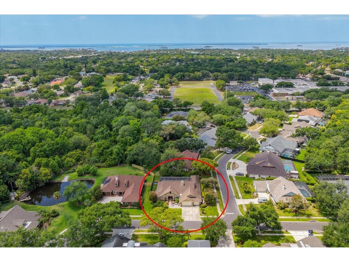 325 Sheffield Circle W Palm Harbor FL 34683 TB8498858 image63