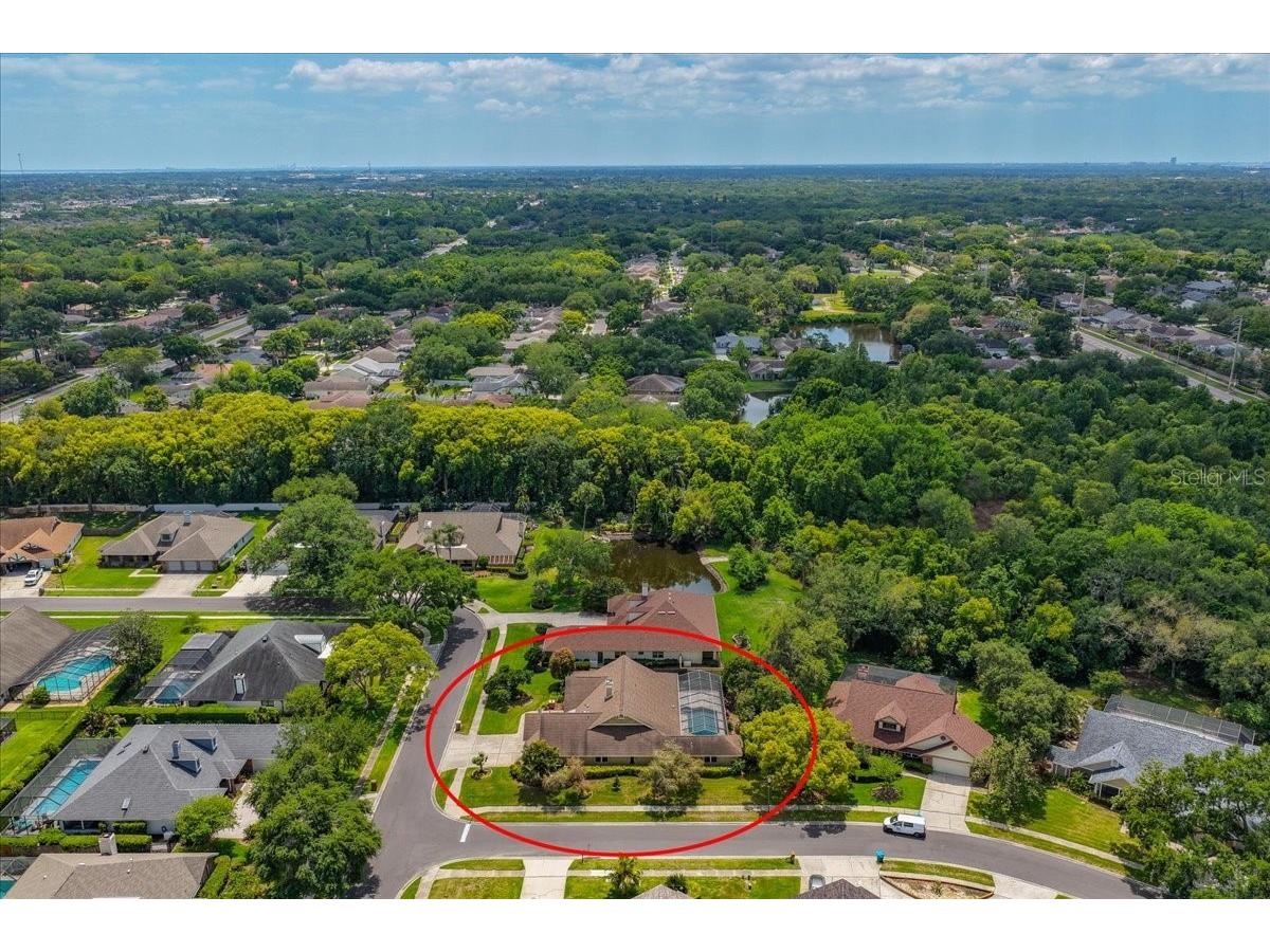 325 Sheffield Circle W Palm Harbor FL 34683 TB8498858 image64