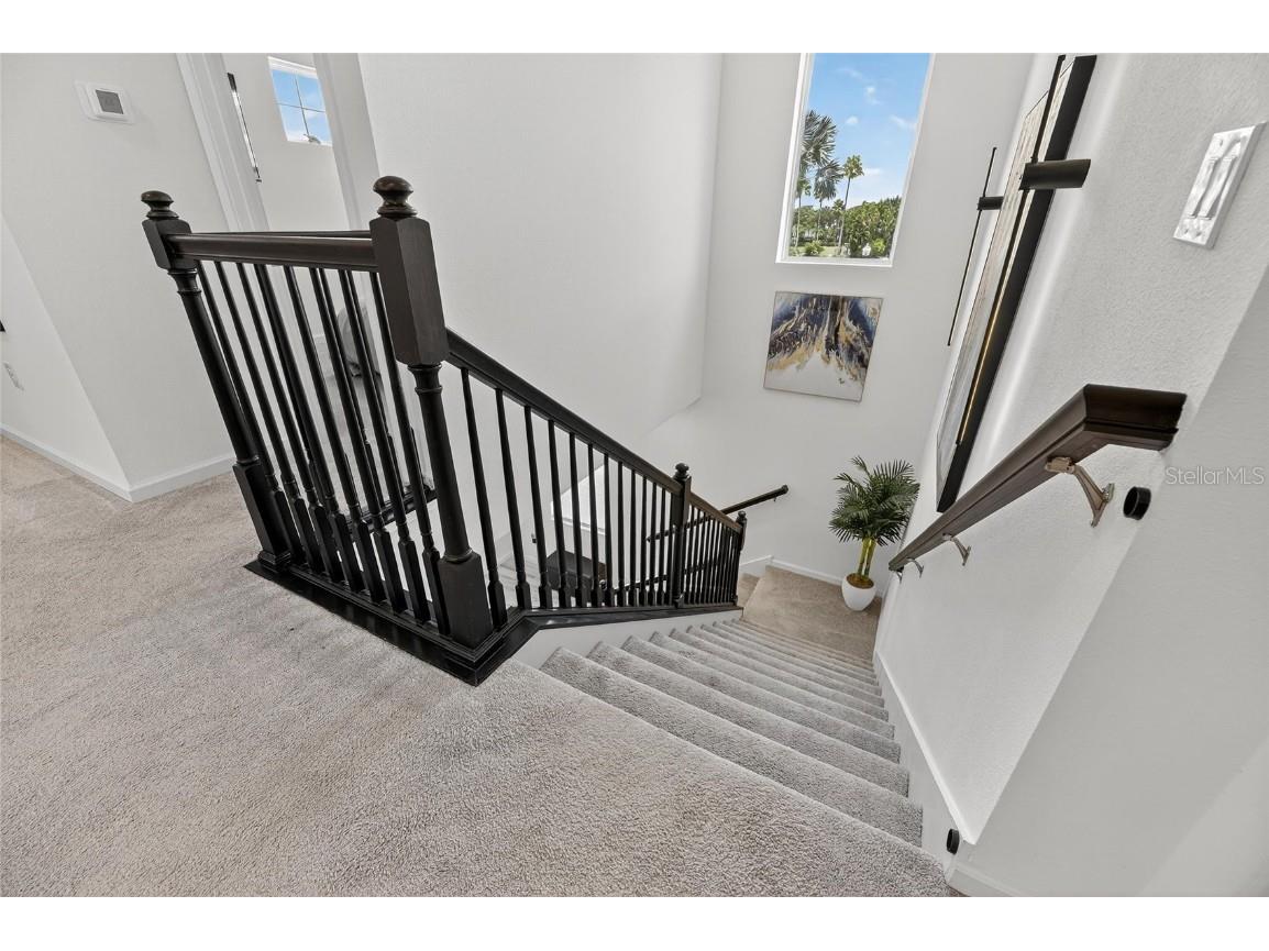 325 Shore Crab Way Apollo Beach FL 33572 TB8418081 image11