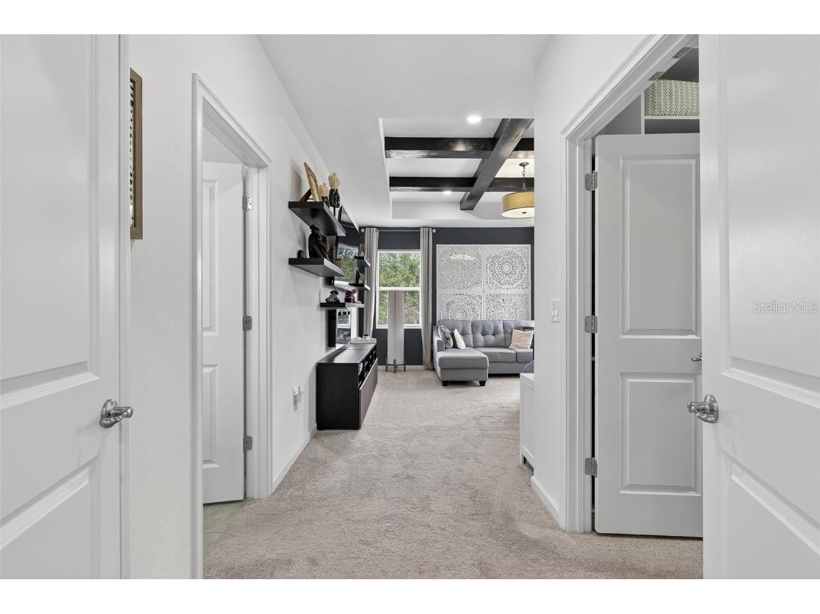 325 Shore Crab Way Apollo Beach FL 33572 TB8418081 image12