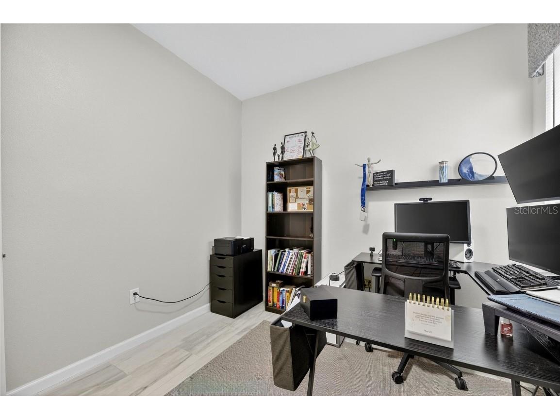 325 Shore Crab Way Apollo Beach FL 33572 TB8418081 image43